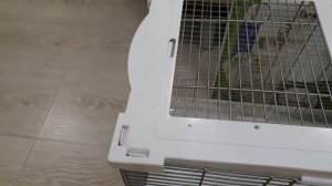 Клетка для птиц Hagen Vision M01 сборка и обзор