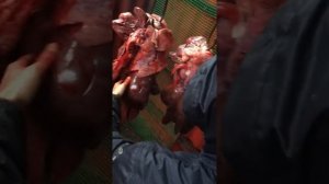 как разделать свинью за 6 минут