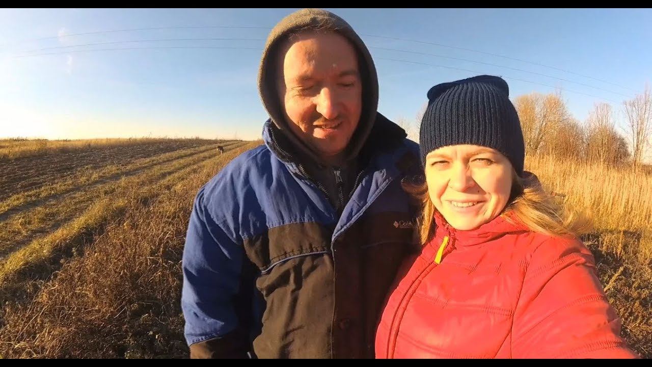 Всё замерзло//Не успели до морозов//Едут новые сорта//Ивановский текстиль
