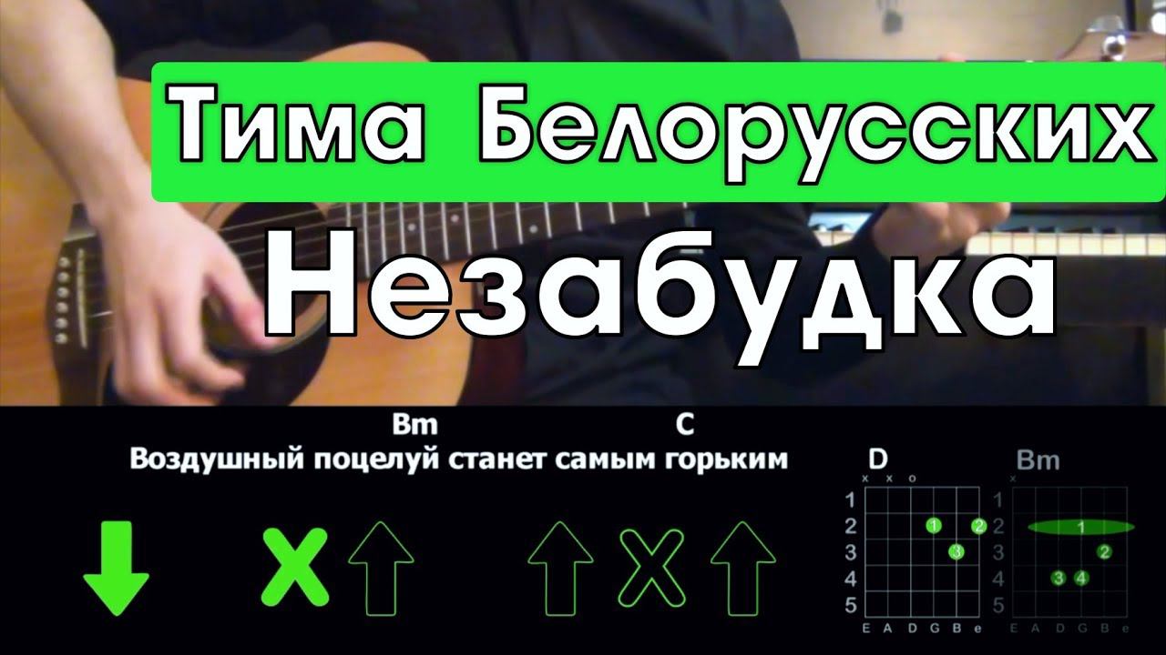 Текст песни тима белорусских кроссы. Незабудка на гитаре. Тима белорусских Незабудка на гитаре. Незабудка табы. Незабудка аккорды.