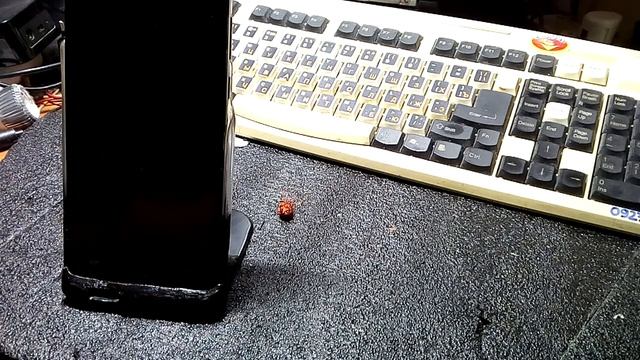 КАК СДЕЛАТЬ IP КАМЕРУ ИЗ СТАРОГО ТЕЛЕФОНА смотреть онлайн