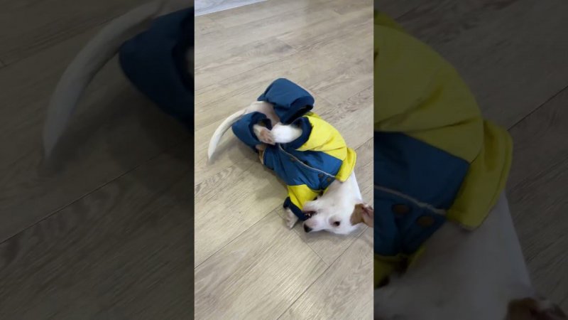 Примеряем обновку