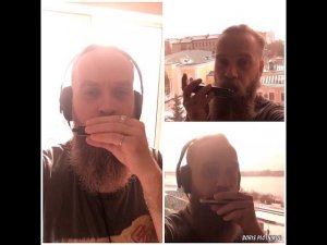 Ходит дурачок - ГрОб harmonica cover by Boris Plotnikov