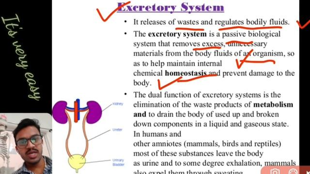 All human body systems | Cells | GIT | CVS | Blood | Heart | Lungs | Kidney | Liver | by Rakesh Ran смотреть онлайн