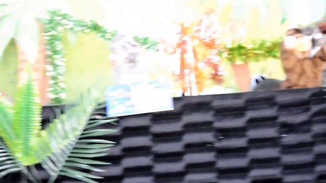 кукольный кружок "Радуга" сказка "Что сегодня на носу?" смотреть онлайн