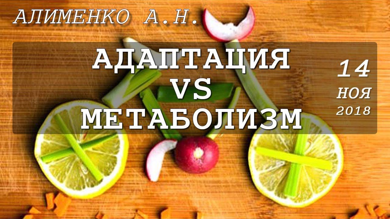 Взаимосвязь адаптационного и метаболического синдрома. Алименко А.Н. (14.11.2018) смотреть онлайн