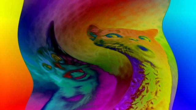 Preview 2 Numa cat effects (sponsored by preview 2 effects) in doesn't respond