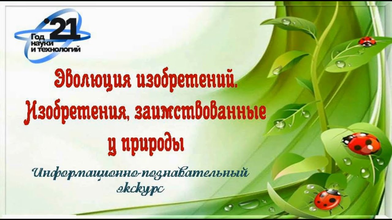 Эволюция изобретений. Изобретения, заимствованные у природы