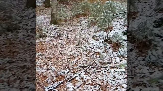 Новая печь в землянку ,засадили ниву смотреть онлайн