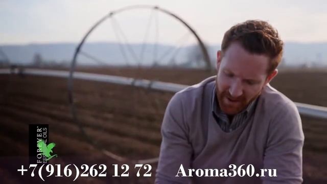 Форевер Перечная мята смотреть онлайн