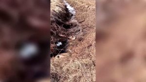 Я хочу сделать нашу Планету чище