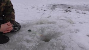 Рыбалка на реке Оке на СТОЯЧУЮ УДОЧКУ конец декабря 2020