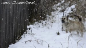 Деревня: осенний снегопад