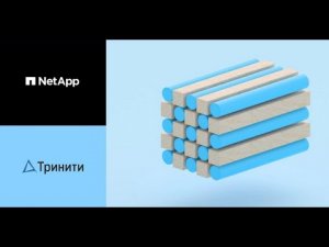 Типичные проблемы, которые можно решить технологиями NetApp и новая СХД A250