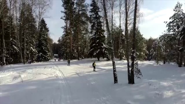 Лыжероллерная трасса в Ярцевском районе будет благоустроена.