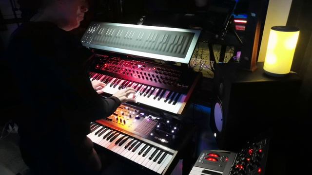 GRATITUDE  (Quantum / Seaboard Rise 2 / PolyBrute / Prophet Rev2 / Pro3 / Virus TI2 Polar / Montage