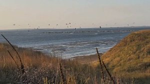 ПУТЕШЕСТВИЕ НА ШКОДЕ ОКТАВИЯ А7 2020 РЕАЛЬНЫЙ ОПЫТ ЭКСПЛУАТАЦИИ SKODA OCTAVIA A 7 1.8 DSG