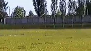 Балашовское ВВАУЛ