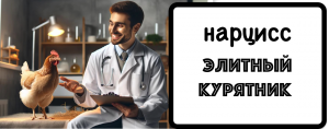 Элитный курятник. Реальная история с нарциссом