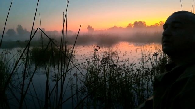 Рассвет, Туман, Красота смотреть онлайн