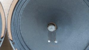 Динамик, заслуживший памятник