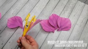 Гладиолус из изолона 2 мм