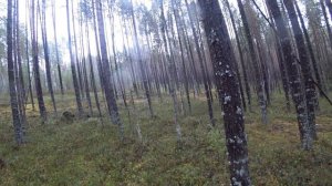 ВОТ ГДЕ ЕГО ИСКАТЬ! ОХОТА НА РЯБЧИКА С МАНКОМ. РЕЗУЛЬТАТИВНО ПОБРОДИЛ В КРЕПЯХ.