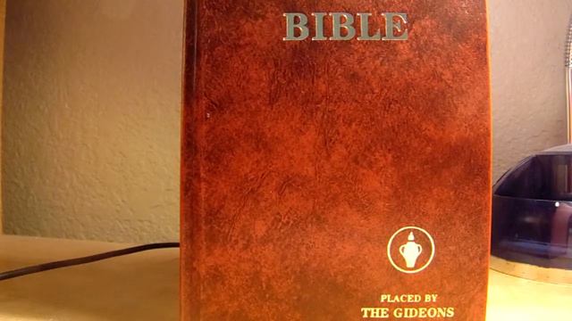 Conversations and Answers August 2015 смотреть онлайн