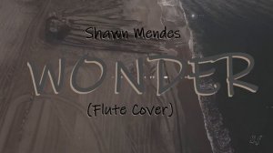 Shawn Mendes - Wonder (Flute Cover by SoiviFlute)