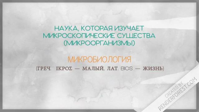 Основные отрасли биологии. Теория.