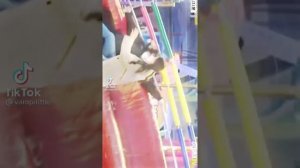 Disco Pang Pang Moments to Make You Feel Single ? (Part#2)