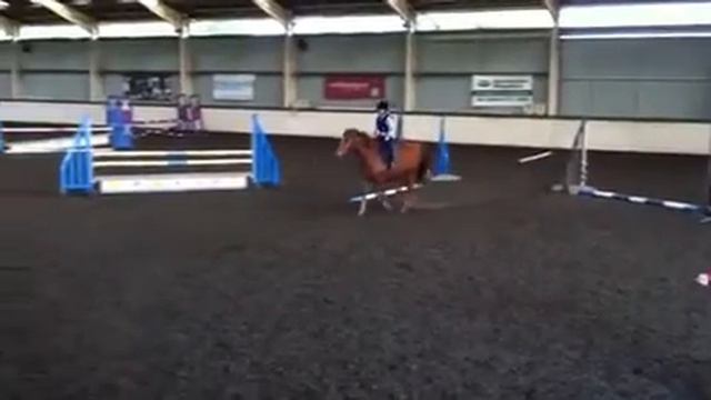 Tilly Jumping Ted смотреть онлайн