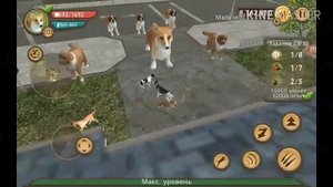 • Сборник видео • | • БАГИ в Dog Sim • | TRG