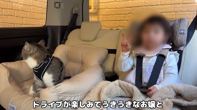 初めてお嬢と猫が一緒にドライブしたらまさかの展開になりましたw