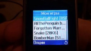 Обзор Samsung SGH-B200