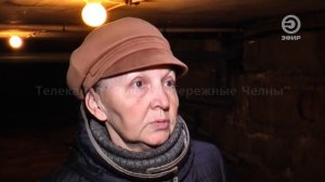 ОТ СЫРОСТИ В КВАРТИРАХ НАЧАЛИ ЛЕТАТЬ МОШКИ.