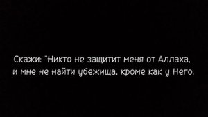 очень красивое чтение Корана.Чтец Абдурахман Наджи