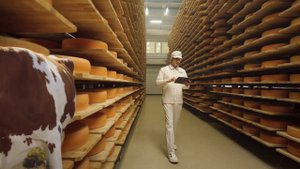 «ЭкоНива»: сыр, к которому тянет