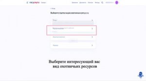 Как получить разрешение на добычу охотничьих ресурсов?