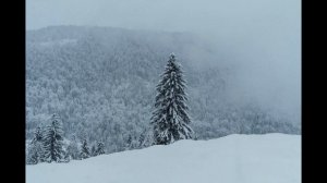 Австрия   История