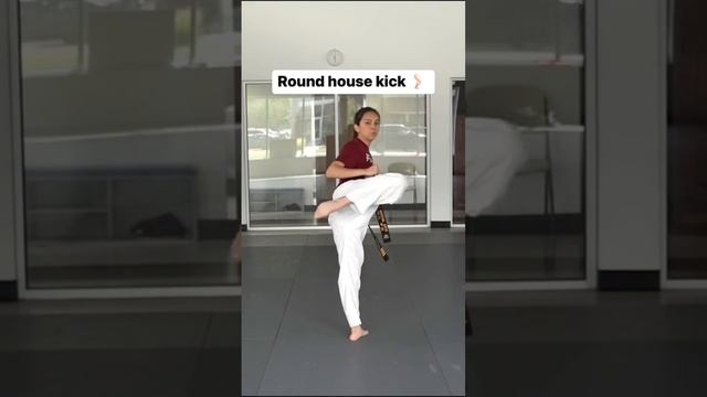 Beginner Taekwondo Kicks you should learn ?