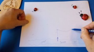 Как пользоваться компасом, чтобы выйти из леса ? Простыми словами и без лишних заморочек ?