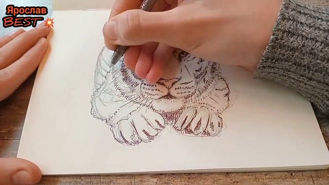 Как нарисовать ТИГРА ? смотреть онлайн