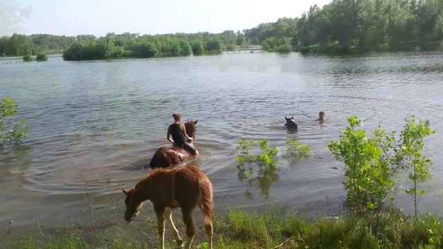 Купаемся)
