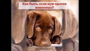 КАК ВЕРНУТЬ ЛЮБИМОГО МУЖА ПОСЛЕ РАЗВОДА? История Вали! Часть №6