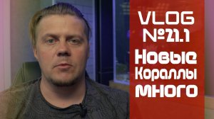 Vlog 21-1 ( Новые кораллы МНОГО))