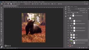 Делаю фотоманипуляцию  / Adobe Photoshop CC 2020 / Медведь и птица из дыма