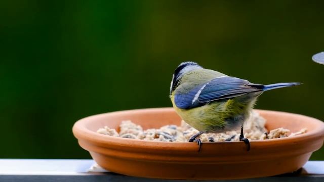 Money meditation -Денежная метитация смотреть онлайн