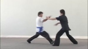 Тайцзицюань (ударная техника)