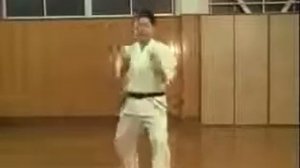 Ката Гекисай дай ни